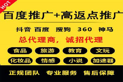 社交平台信息流广告推广的典型案例分析